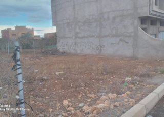 Terrain à vendre route de Saidia