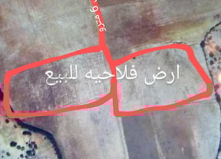 Terrain agricole à vendre route de Ben Slimane