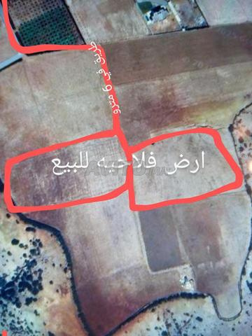 كاينه ارض فلاحية للبيع في طريق بن سليمان