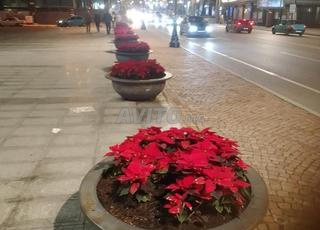 بيت للكراء اليومي مفرش لشخص واحد معقول طرنكيل دكر