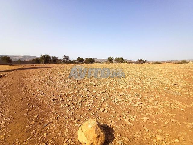 AGA-DR-1005 - Terrain à vendre à Agadir-Ida -Ou-...