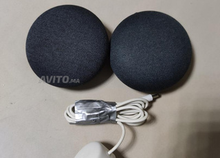 deux Galet google home intelligente