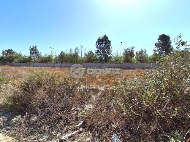 NOU-BO-1019 - أرض للبيع في بوسكورة - 2