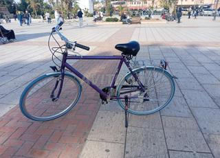 دراجة هوائية هولندا