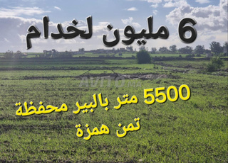 Terrain titré près d'El Jadida