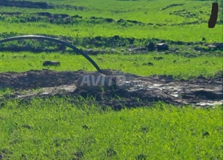 بقعة محفظة قرب الجديدة