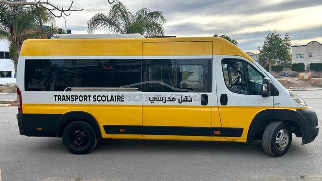 Fiat Ducato Diesel Manuelle 2010 à Al Hoceima