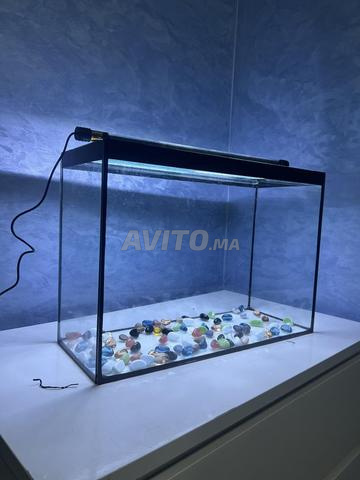 حوض سمك 35 لتر