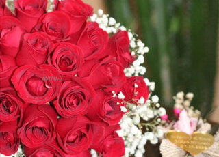 Appartement excellent