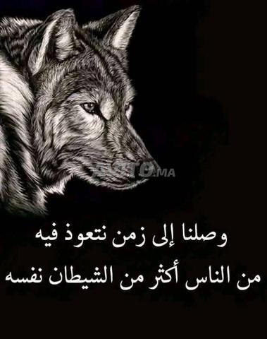 Ahmed Kouatly