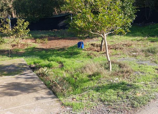 Terrain agricole de 1500 avec maison