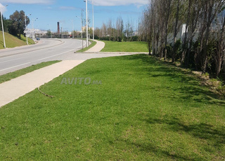 Terrain titré à vendre à usage commercial