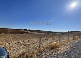 Terrain à vendre 5 titres