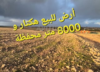 Terrain titré avec puits