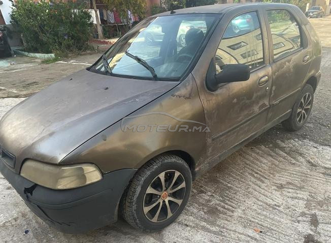 palio mazot 2004