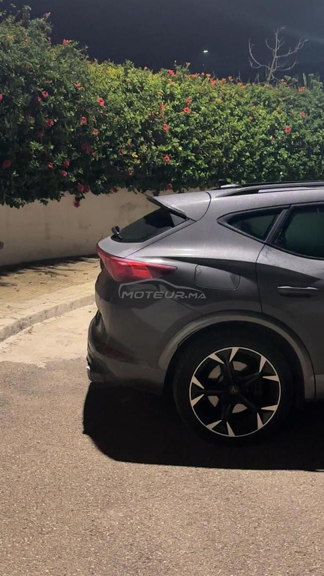 Cupra Formentor Hybride 1/ط