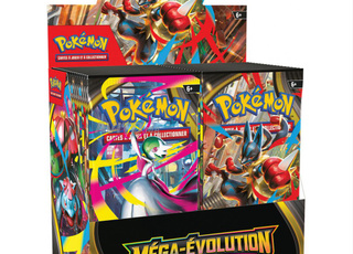 شاشة بوكيمون ميجا إيفوليوشن مغلقة