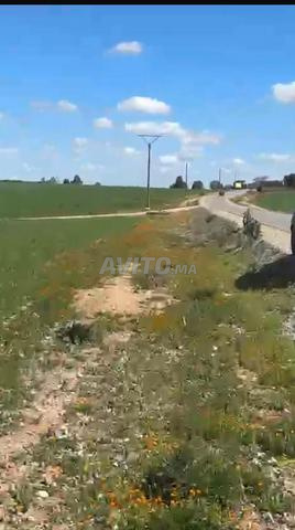 Hectare et demi titré sur la route de Hamza à 48 millions tout