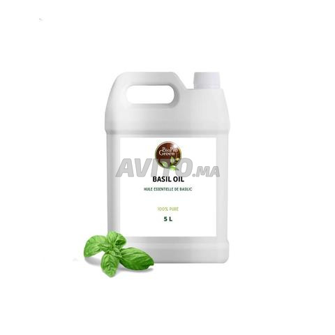 زيت الريحان العطري / زيت الريحان