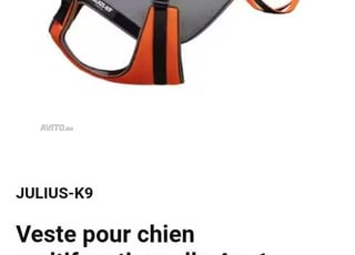 Veste pour chien original