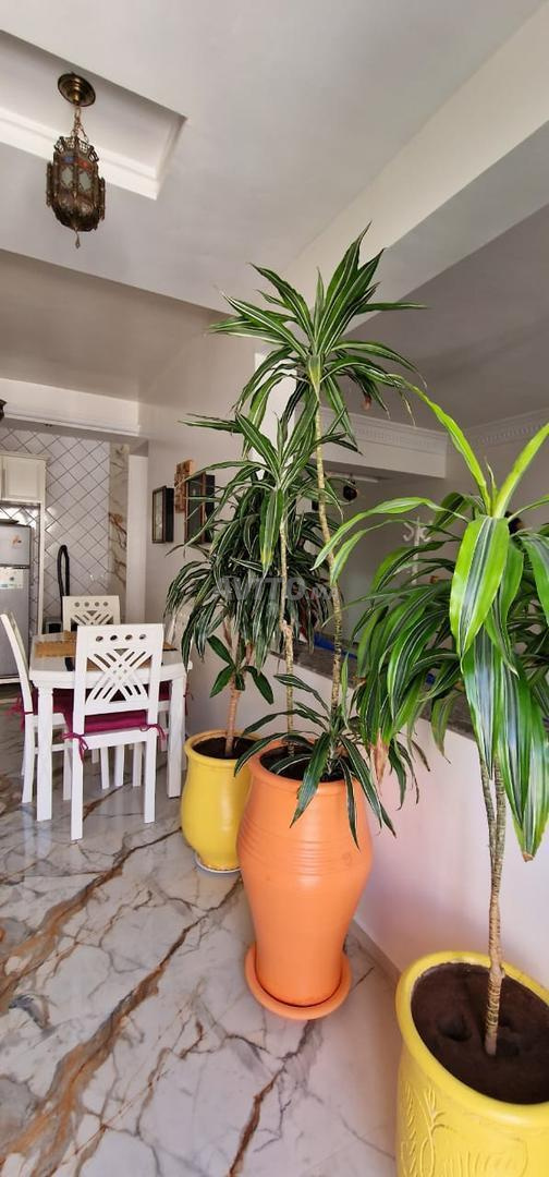 luxueux appartement à 100m de la plage Wi-Fi - image 4