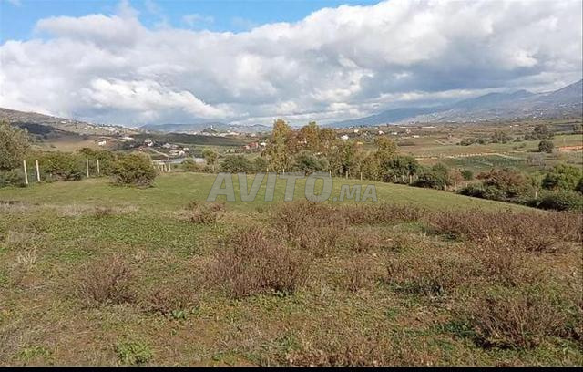 فرصة استثمارية نادرة في نواحي تطوان ثمن مغرٍ جدًا