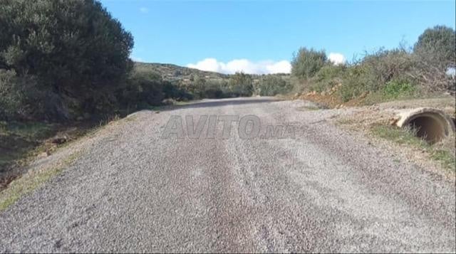 Rare opportunité d'investissement dans les environs de Tétouan - Prix très attractif - 2