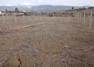 فرصة ممتازة بقعة أرضية محفظة وجاهزة للبناء