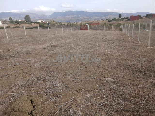 فرصة ممتازة بقعة أرضية محفظة وجاهزة للبناء