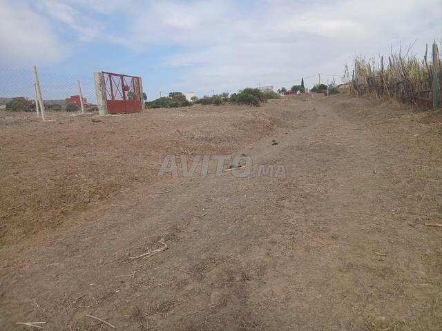 فرصة ممتازة بقعة أرضية محفظة وجاهزة للبناء - 2