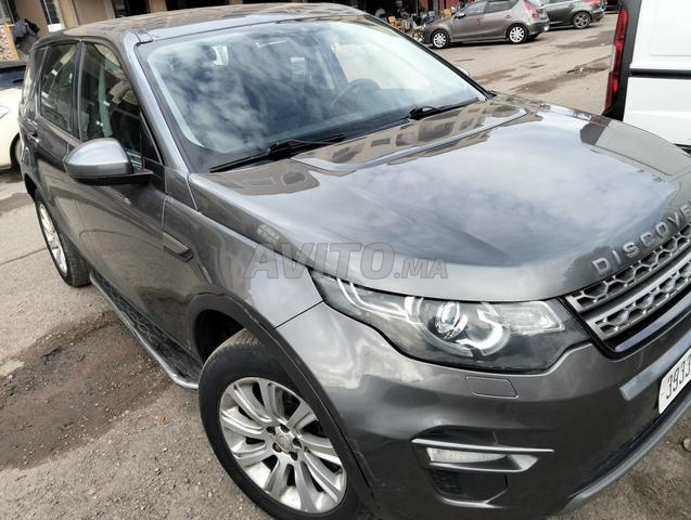 Discovery Automatique