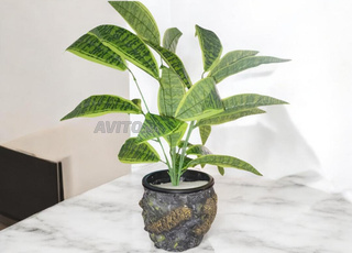 حوض زرع والورد حجرية صناعة يدوية