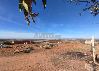 1000 m titre ain aghbal el hajeb