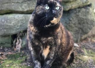 Environs de Marrakech Douar Ziki