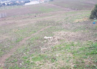 Terrain titré à vendre près du barrage Agoras, Tétouan