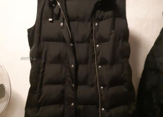 جيلي و جاكيت