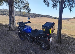 Vstrom 650 2024 WW Maroc