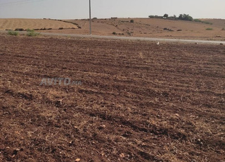 Hectare et demi Mohafada à vendre Maaziz Tiflet Khémisset