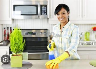 Nounou ménage, cuisine et garde malade