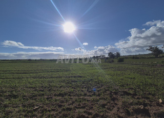 Terrain titré de 6500 à la commune d'El Haouzia