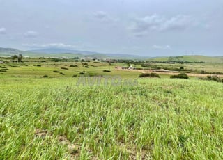 Terrain à vendre de 28.000 m² sur la route Tanger – Tétouan