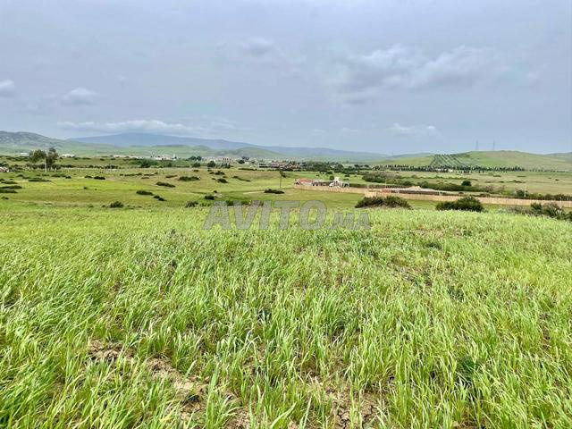 أرض للبيع بمساحة 28.000 م² على طريق طنجة – تطوان