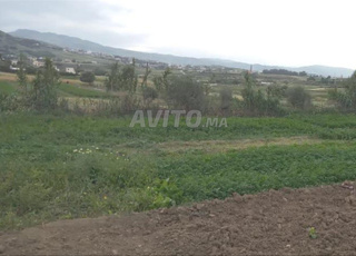 Terrain à vendre près de Tétouan