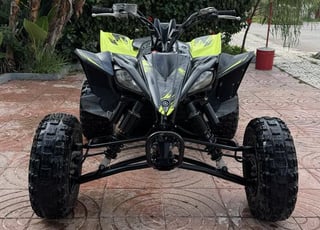 RAPTOR YFM 450