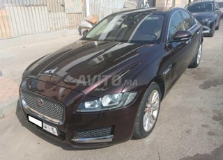 KIFAL - JAGUAR XF