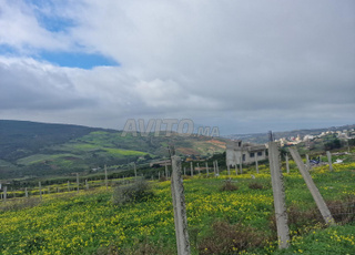 Terrain pour construction villa