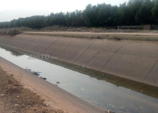 Terrain agricole titré 2 hectares et demi près de la ville