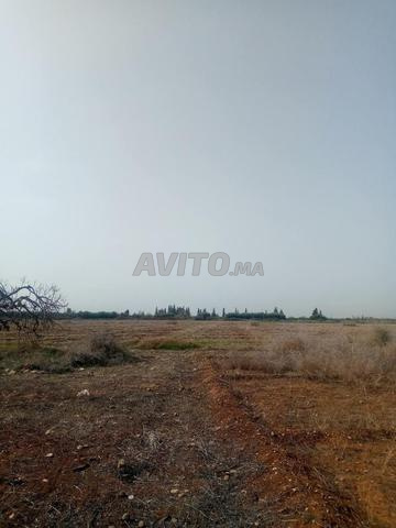 Terrain agricole titré 2 hectares et demi près de la ville - 2