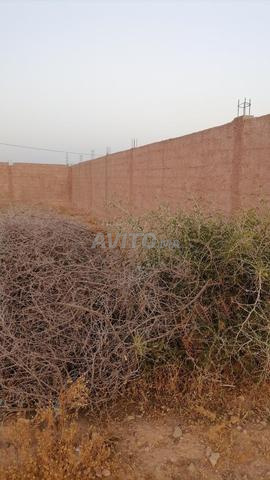 أرض مساحة (180م) مكونة من حائط (2م )
