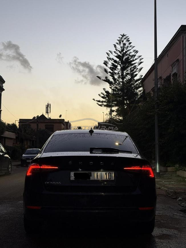 Skoda Octavia business, model 2023.